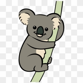 Koala Animation Png, Transparent Png - koala bear png