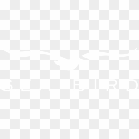 Seabird Logo, HD Png Download - real birds png