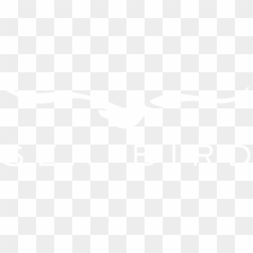 Seabird Logo, HD Png Download - real birds png