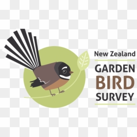 Nz Garden Bird Survey, HD Png Download - real birds png