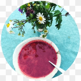 Fasting Retreat At Bornholm, HD Png Download - suprised png