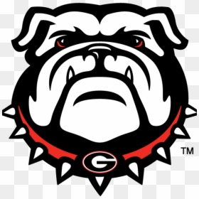 Georgia Bulldog Clipart Bulldogs Secondary Logo Ncaa - Georgia Bulldogs Logo Png, Transparent Png - teachers png