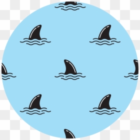 Transparent Shark Fin Png, Png Download - shark bite png