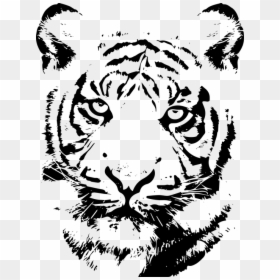 Drawing Of India Tiger Face, HD Png Download - tiger transparent png