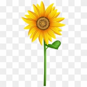 Transparent Background Clip Art Sun Flower , Png Download - Transparent Background Sun Flower Clip Art, Png Download - sun background png