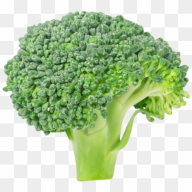 Transparent Broccoli Png - Broccoli Clipart, Png Download - brocolli png