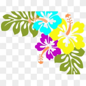 Library Clipart Borders - Tropical Flowers Clipart Png, Transparent Png - hibiscus border png