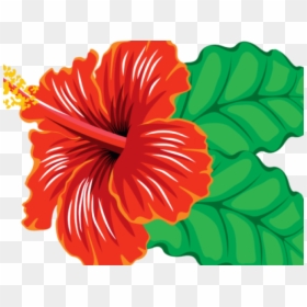 Transparent Hibiscus Clipart - Hibiscus Clipart, HD Png Download - hibiscus border png