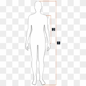 Standing, HD Png Download - tundra png