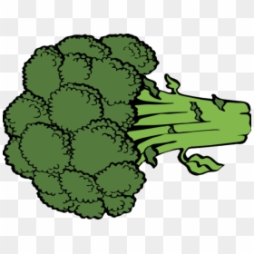 Broccoli Cliparts - Broccoli Cartoon Png, Transparent Png - brocolli png