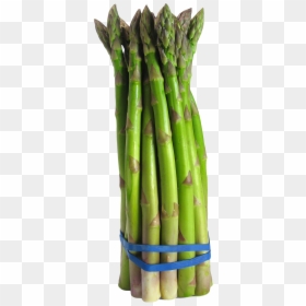 Asparagus Png, Transparent Png - brocolli png