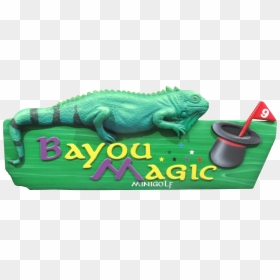 Bayou Magic Fun Center - Green Iguana, HD Png Download - mini golf png