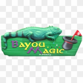 Bayou Magic Fun Center - Green Iguana, HD Png Download - mini golf png