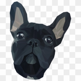 Companion Dog, HD Png Download - bulldog face png