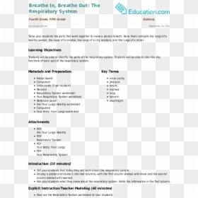 Breathe In Breathe Out The Respiratory System Lesson - Lesson Plan About 5 Senses, HD Png Download - breathe png