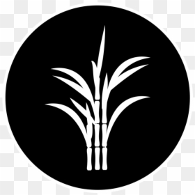 Who Does Ckdu Affect - Circle, HD Png Download - sugarcane png