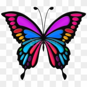 Butterfly Clipart Images - Colorful Butterfly Clipart, HD Png Download - butterflys png