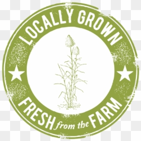 Sugarcane - Farm Fresh, HD Png Download - sugarcane png