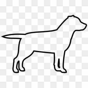 Dog Outline Png, Transparent Png - labrador retriever png