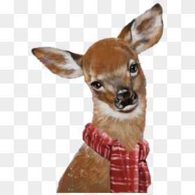 Roe Deer, HD Png Download - deer png image