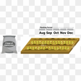 Parallel, HD Png Download - sugarcane png