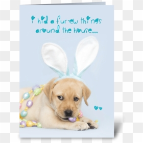 Yellow Labrador Retriever Easter Bunny Greeting Card - Labrador Retriever, HD Png Download - labrador retriever png