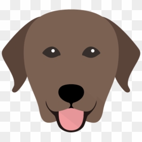 Labrador Retriever, HD Png Download - labrador retriever png
