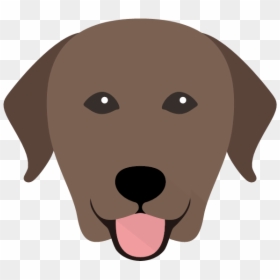 Labrador Retriever, HD Png Download - labrador retriever png