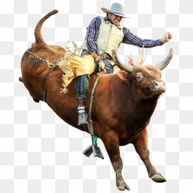 Clip Art Riding Professional Riders Rodeo - Bull Riding Png, Transparent Png - mechanical bull png