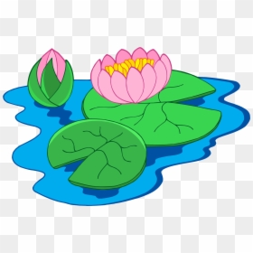 Nymphaea Alba Clip Art - Water Lily Plant Clipart, HD Png Download - blue water png