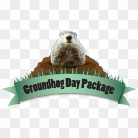 Groundhog Day Png, Transparent Png - groundhog day png