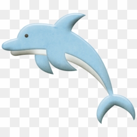 Common Bottlenose Dolphin, HD Png Download - sea creatures png