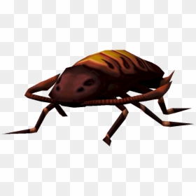 Runescape Giant Cockroach, HD Png Download - cockroaches png