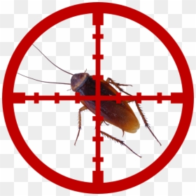 Cockroaches - Cross Hairs Clip Art, HD Png Download - cockroaches png