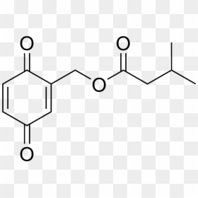 Gentisyl Quinone Isovalerate - Pyridine 2 5 Dicarboxylic Acid, HD Png Download - cockroaches png