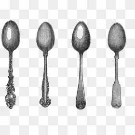 19 Utensils Graphic Royalty Free Vintage Huge Freebie - Vintage Spoon Clip Art, HD Png Download - kitchen utensils png