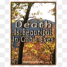 Death Is Beautiful In God"s Eyes - Autumn, HD Png Download - beautiful eyes png