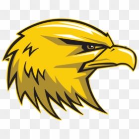 Golden Eagle Png - Del Oro High School Logo, Transparent Png - cartoon eagle png