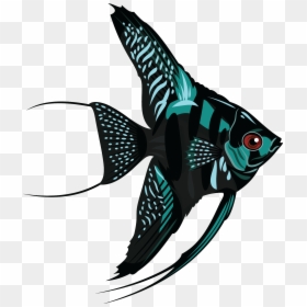 Fish Png Download - Angelfish Png, Transparent Png - angelfish png