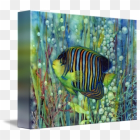 Transparent Angelfish Png - Royal Angelfish, Png Download - angelfish png