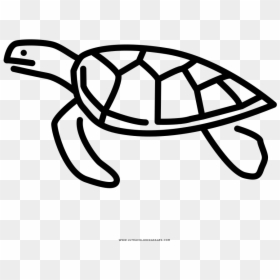 Sea Turtle Coloring Page, HD Png Download - sea turtle clipart png