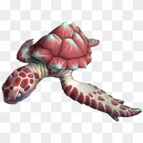 Transparent Turtles Png - Anime Sea Turtle, Png Download - turtle.png