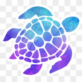 Sea Turtle Clipart Watercolor - Sea Turtle Decal, HD Png Download - sea turtle clipart png