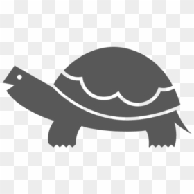 Snapping Turtle Png Transparent Images - Icon, Png Download - turtle.png
