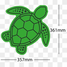 Transparent Turtle, HD Png Download - turtle.png