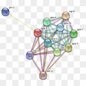 Gpa-2 Protein - Circle, HD Png Download - gpa png