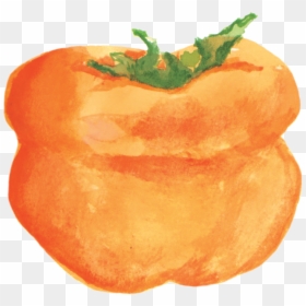 Plum Tomato, HD Png Download - persimmon png