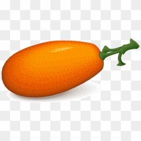 Seedless Fruit, HD Png Download - persimmon png