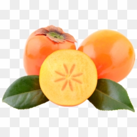 Persimmon, HD Png Download - persimmon png