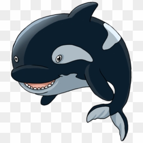 Killer Whale Png, Transparent Png - cartoon whale png